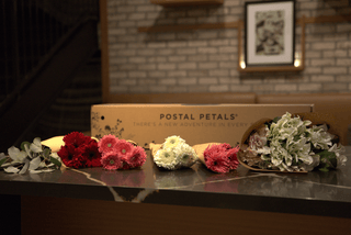 BBL DAISIES Postal Petal DIY Beanie Bloom Box