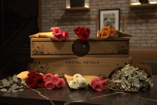 Bundles of flowers from the BBL Daisies midi box