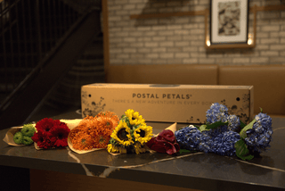 BLOOM WITH PRIDE Postal Petal DIY Beanie Bloom Box