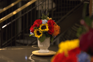BLOOM WITH PRIDE Postal Petal flowers in a vase