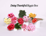 BIGGIE BOX