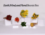 BEANIE BOX