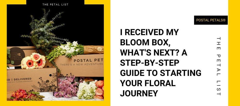 I Received My Bloom Box, What's Next? A Step-By-Step Guide to Starting ...