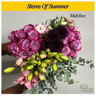 Gift the Midi Bloom Box Subscription – A Floral Experience