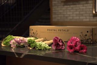 MEET THE BLOOMS Postal Petal DIY Beanie Bloom Box
