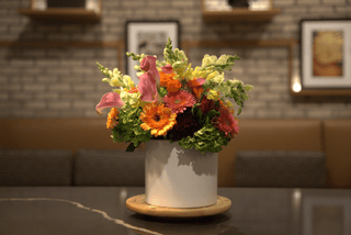 MEET THE BLOOMS Postal Petal flowers in a vase