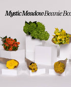 BEANIE BOX