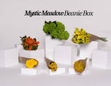 BEANIE BOX