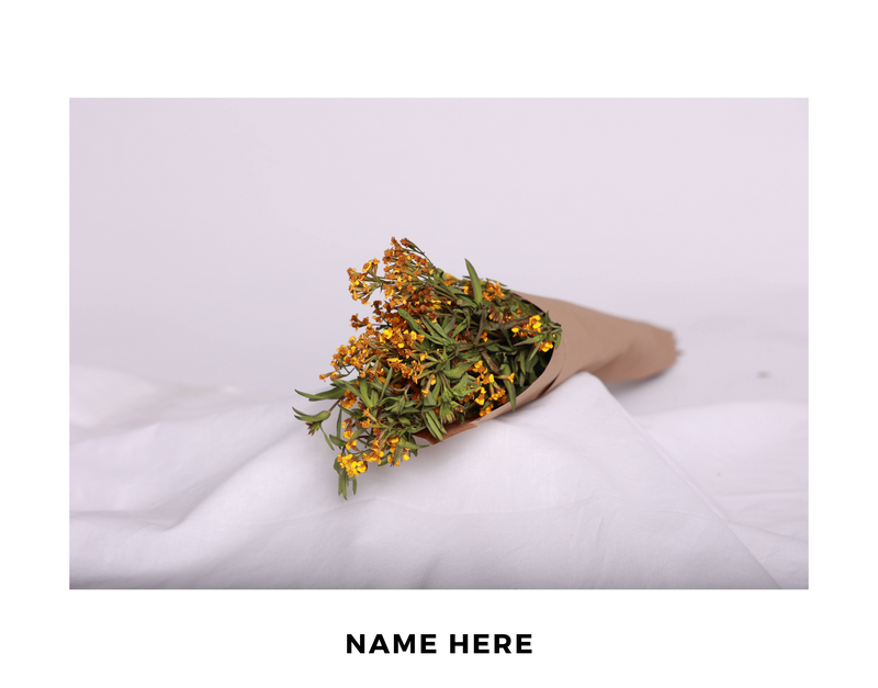 Name Here