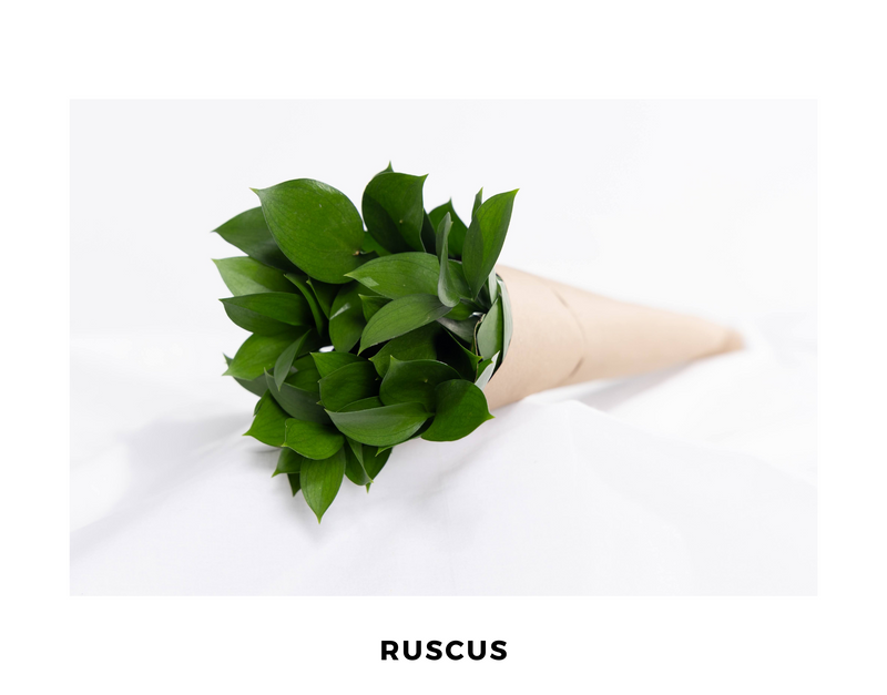 Novelty Green
