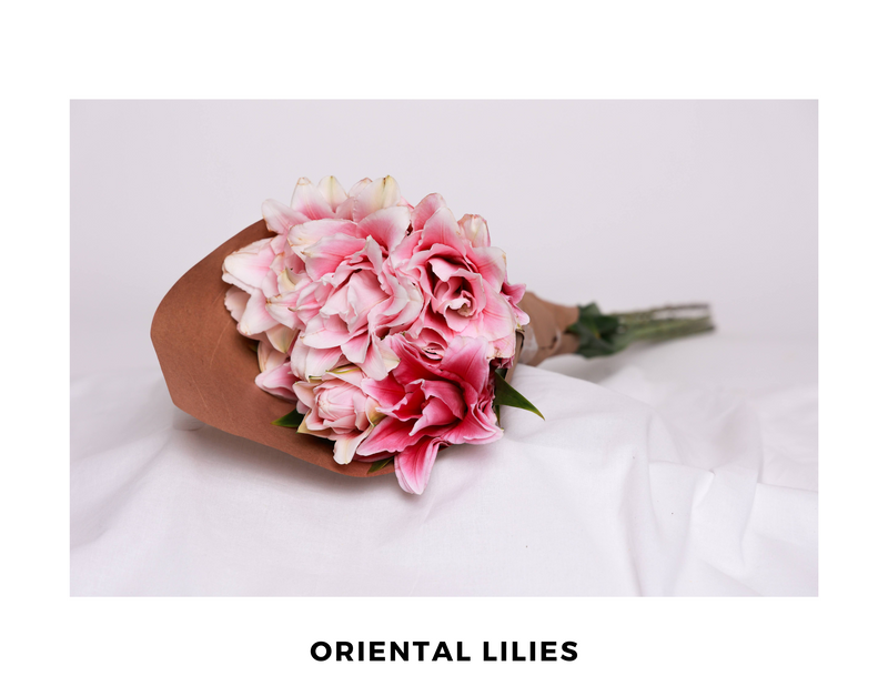 Oriental lilies