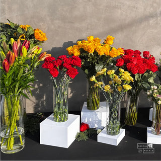 Build Your Own Bloom Bar Kit