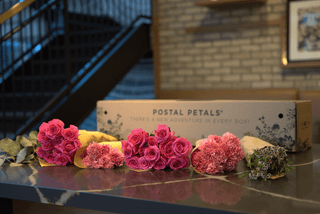 RHYTM & BLOOMS Postal Petal DIY Beanie Bloom Box