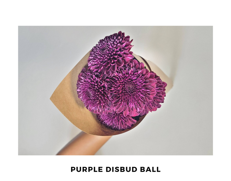 Purple Disbud Ball